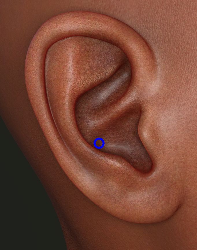 lép piercing