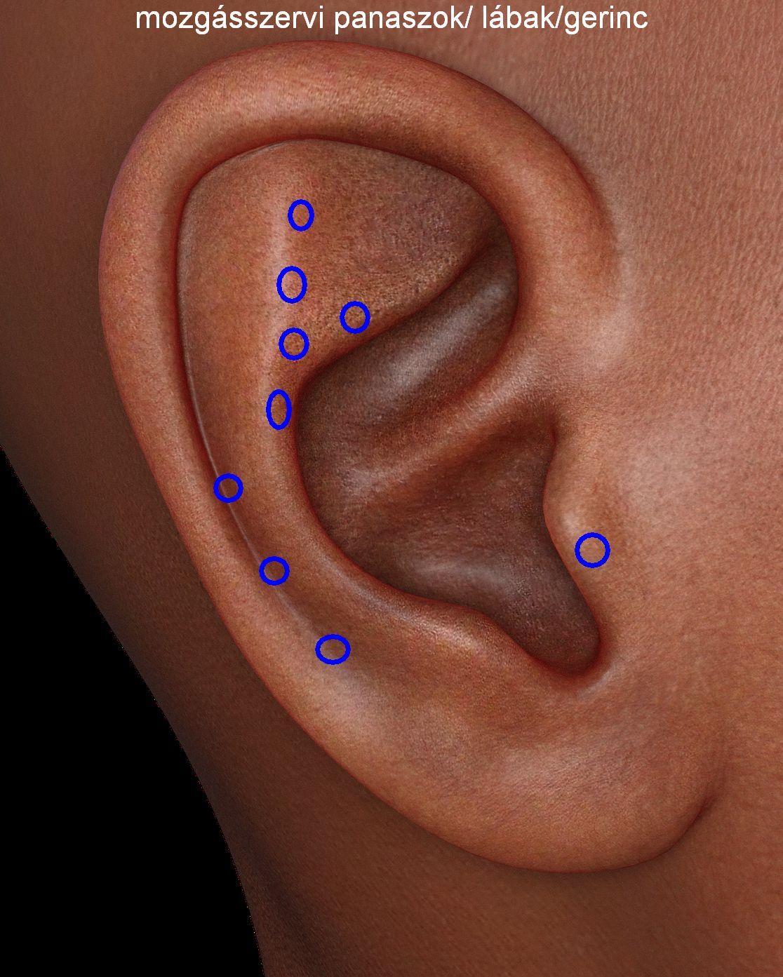 mozgásszervi piercing
